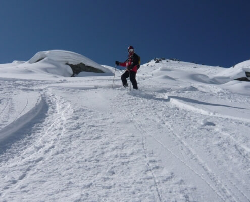 Rocky Garden Verbier