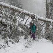 Lifts closed - to much snow - time to ski down to Le Chable