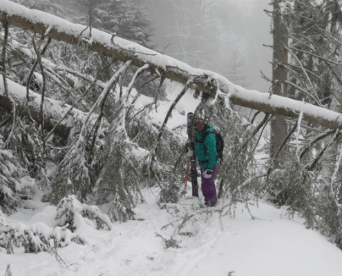 Lifts closed - to much snow - time to ski down to Le Chable