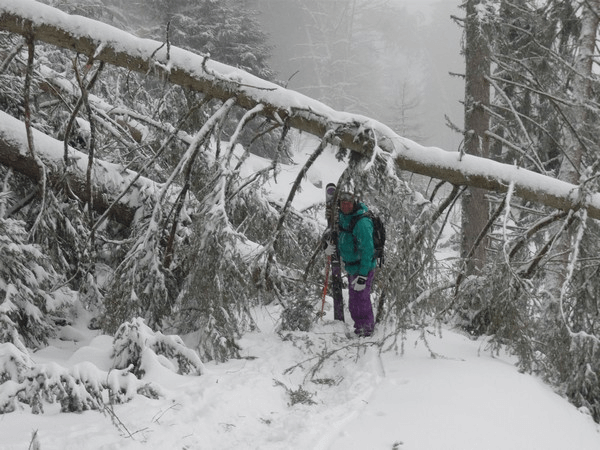 Lifts closed - to much snow - time to ski down to Le Chable