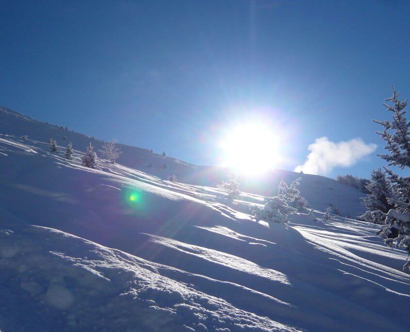 Roddy Willis Ski Instructor Verbier