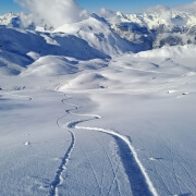 Verbier Powder Snow