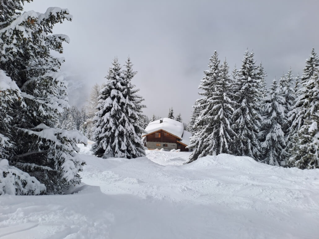 Snow covered alpine chalet in Verbier surrounded by pine trees in winter Swiss Alps
