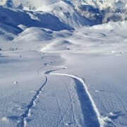 Single Track in Powder Snow / Photo taken in a Performance Ski Lesson in Veriber