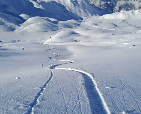 Single Track in Powder Snow / Photo taken in a Performance Ski Lesson in Veriber